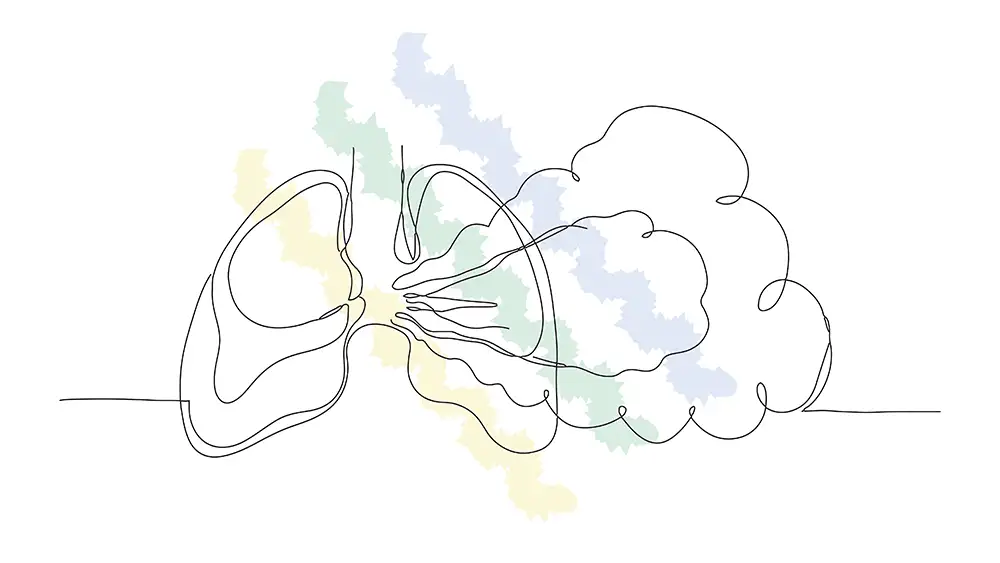 Scribblegrafik einer Lunge